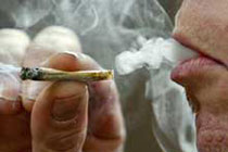 Курение марихуаны приводит к болезням десен